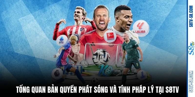 Bản quyền phát sóng S8TV: Xem 100+ giải đấu đỉnh cao nhất !