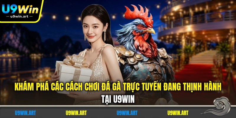 Top 3 Cách Chơi Đá Gà Trực Tuyến - Được Ưa Chuộng Nhất
