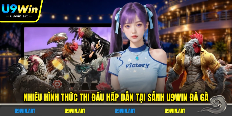 U9WIN Đá Gà - Sảnh Cược Chọi Kê Trực Tiếp Hàng Đầu