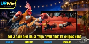 Tin Tức U9WIN - Mới Nhất, Cập Nhật Thông Tin Nhanh Chóng