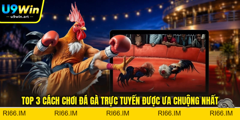 Top 3 Cách Chơi Đá Gà Trực Tuyến - Được Ưa Chuộng Nhất