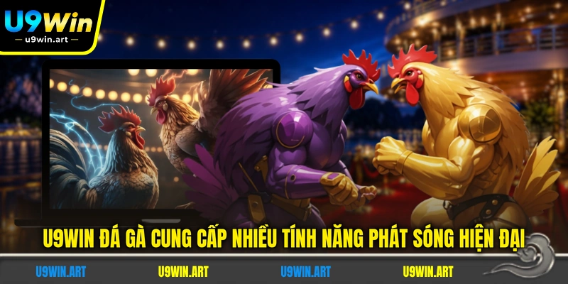 U9WIN Đá Gà - Sảnh Cược Chọi Kê Trực Tiếp Hàng Đầu